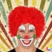 Pruik Clown 117913